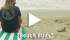 Beach buds web