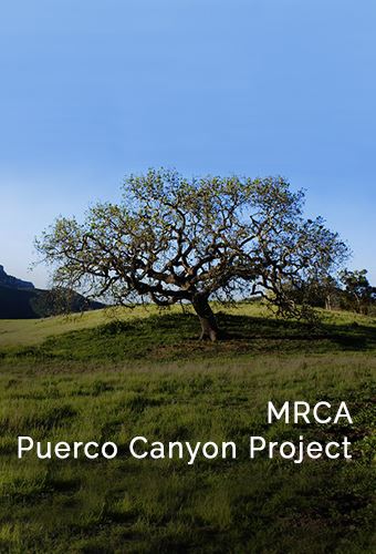 MRCA Puerco Newsflash 2