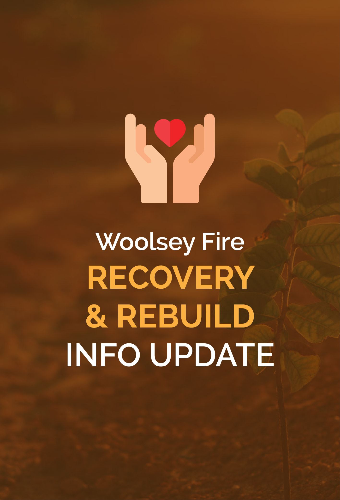Woolsey Newsflash-INFO update