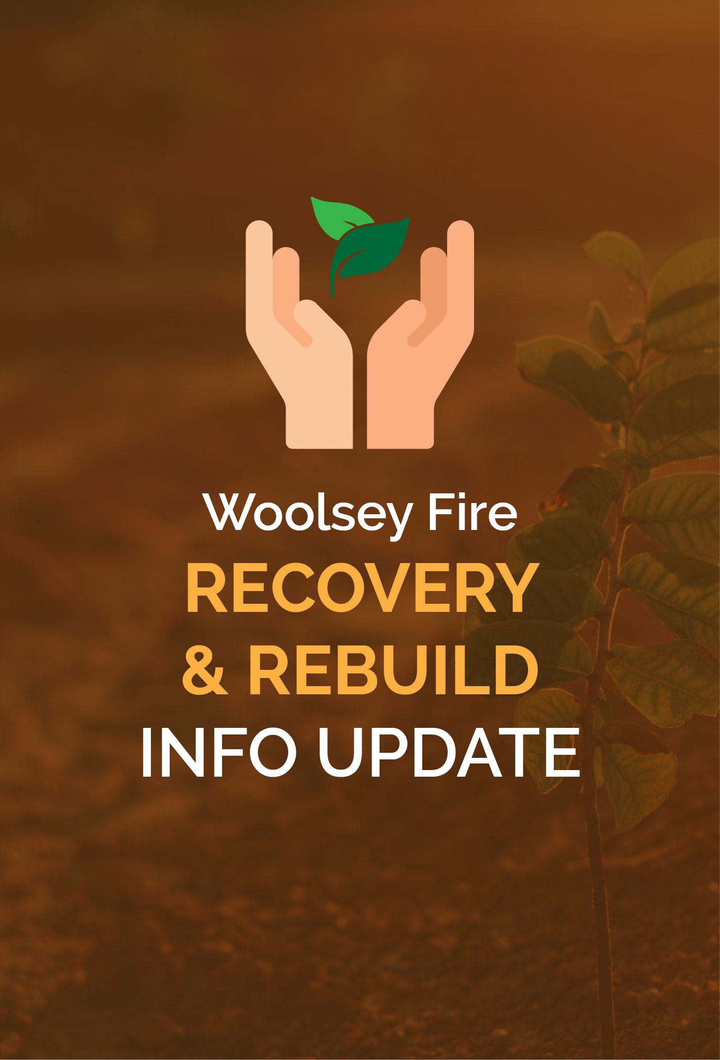 Woolsey Newsflash-03