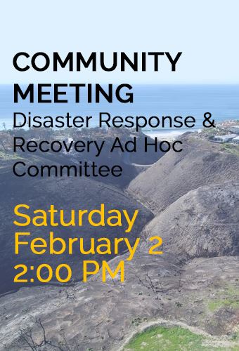 Disaster Ad Hoc Meeting 