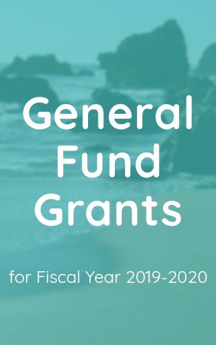 General Fund Grant 19-20