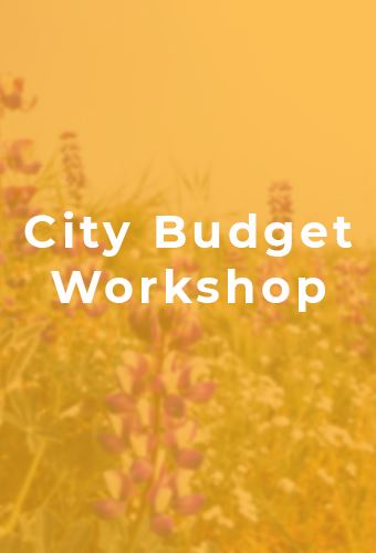 Budget Workshop