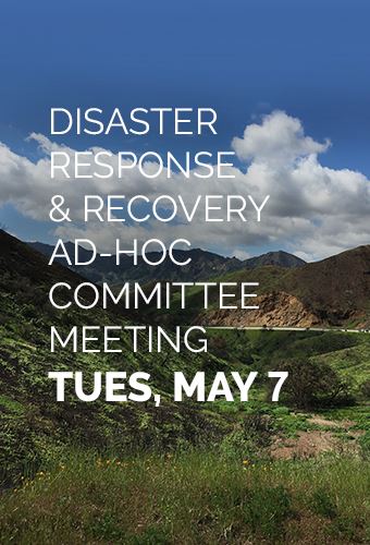 Ad Hoc Committee Meeting