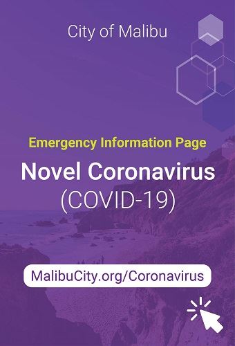 newsflash COVID-19 page-01