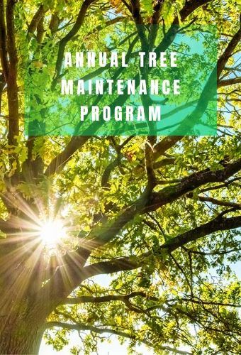 ANNUAL TREE MAINTENANCE PROGRAM