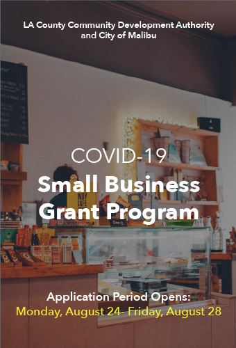 Small Business Grant Program 