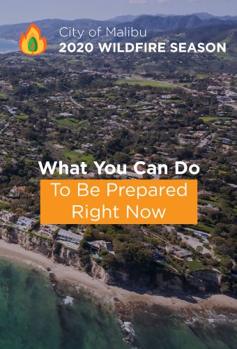 What-you-can-do-Newsflash