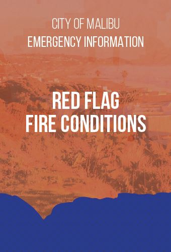 red-flag-condition-newsflash
