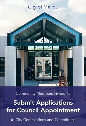 Council Appointment Applications