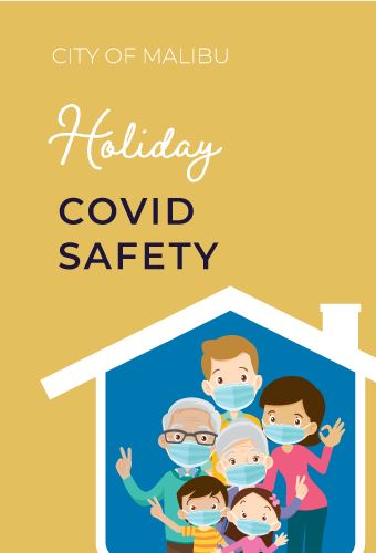 Holiday COVID Safety