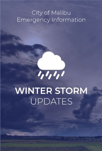 Winter Storm