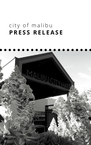 press release newsflash