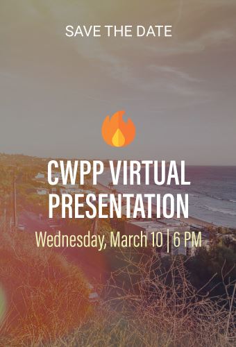 CWPP-meeting-Newsflash