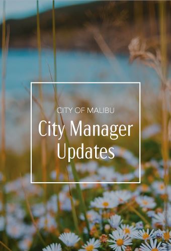 3.11-CM-update-newsflash