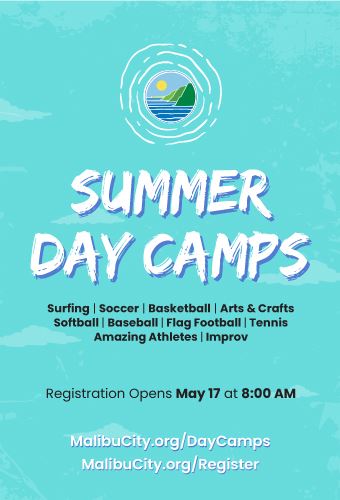 Summer-day-camps-Newsflash