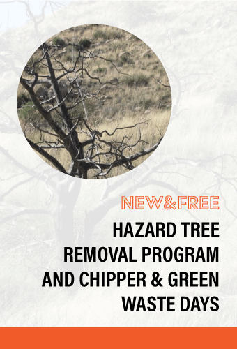 Hazard-tree-removal-NEWSFLASH