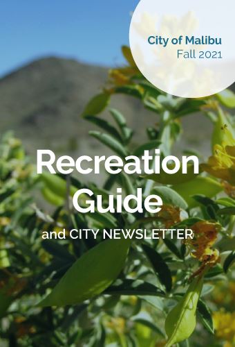 Rec-guide-newsflash
