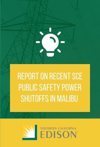 PSPS after report 12.1.2021 (1)