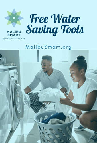 free sprinklers newsflash 2.23.2022 (1)