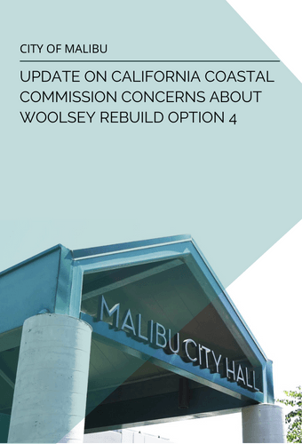 OPTION 4 STATEMENT NEWSFLASH 6.10.2022