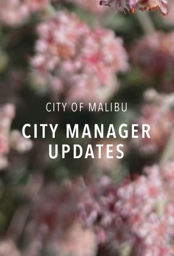 City Manager Updates - newsflash 