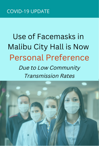 facemasks personal preference city hall 10.6.2022 (1)