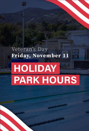 Veterans-Day-newsflash