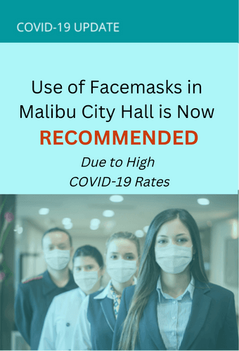 Graphic - City of Malibu - facemasks recommended in City Hall 
