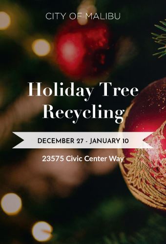 2022-xmas-tree-recycle-Newsflash