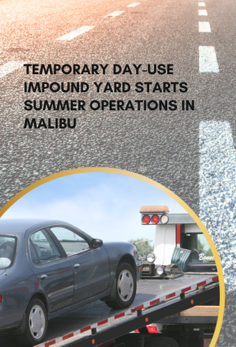 tow yard newsflash 6.12.2023