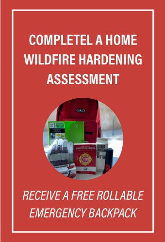 rollable-backpack-Newsflash