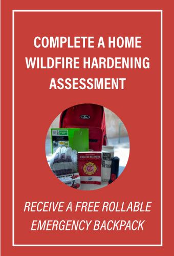 rollable-backpack-Newsflash 2