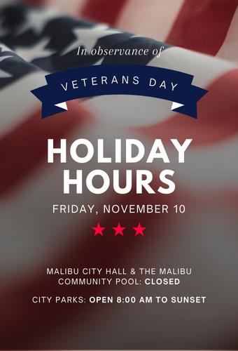 Veterans Day (Newsflash)