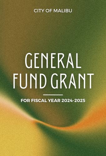 2024 General Fund Grant (Newsflash)