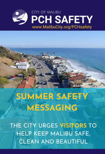 SUMMER SAFETY MESSAGING NEWSFLASH 2