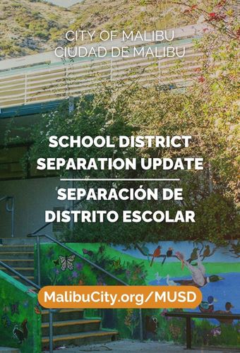 School separation - newsflash (1)