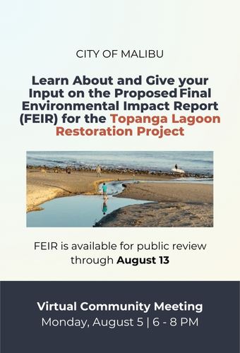 Topanga Lagoon -Newsflash