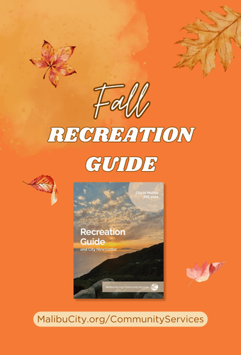 Fall Recreation Guide -Newsflash