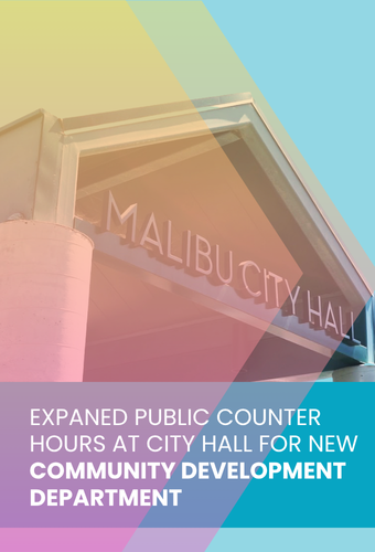 expanded city hall public counter hours