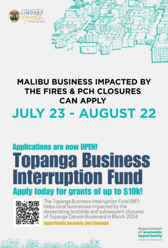 LA County business fund fire impacts newsflash 2
