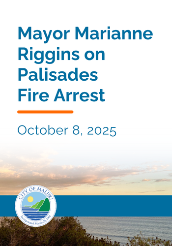 Mayor statement on Palisades Fire arrest 
