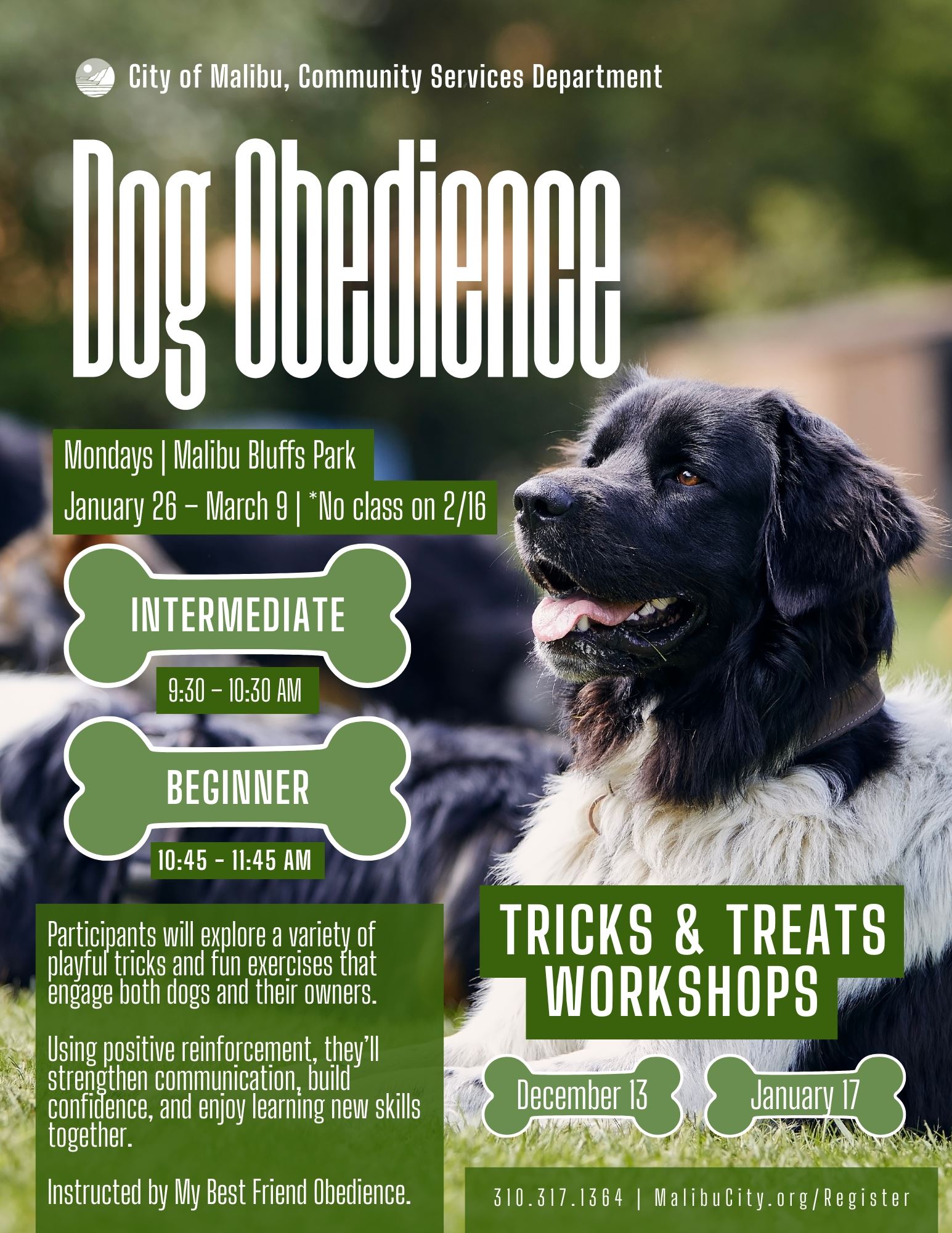 Dog Obedience Programs