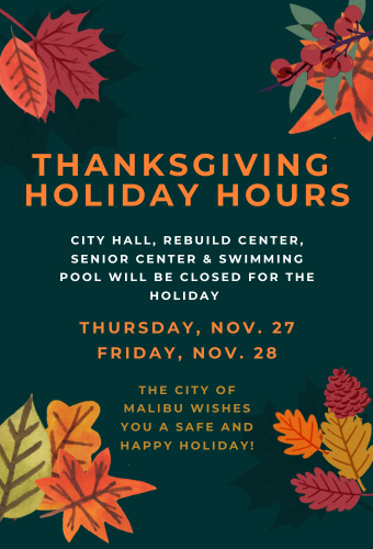thanksgiving holiday closure 11.24.2025