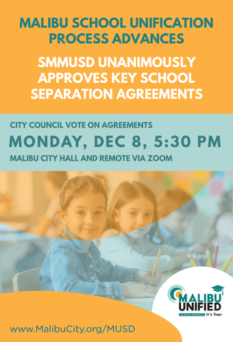 County Committee vote (4)