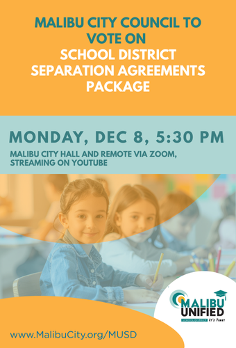 County Committee vote (4)